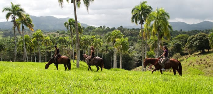 Gabi's Ranch paseos a caballo en Bávaro y  Punta Cana - Gabi's Ranch horseback riding in Bavaro and Punta Cana