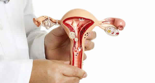 ginecologo gynecologist bavaro punta cana
